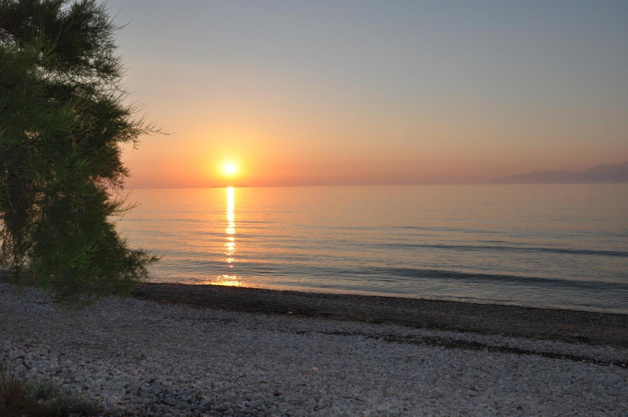 Tassos Apartments Corfu  Bagian luar foto